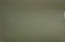 Lacost-4 Dark green Leather.