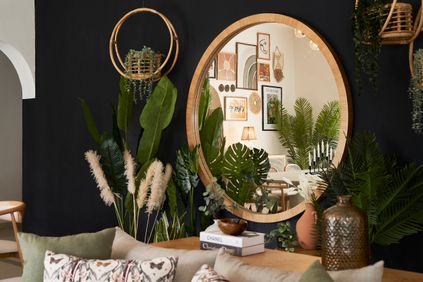 3 Tips for Decorating Your Home with Plants