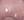 اللون الأرجواني