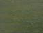 Green Wash 2