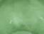 Green 23