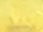 Yellow - 18
