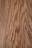 Medium Oak