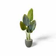 Lush Artificial Augusta Plant with Curve Pot