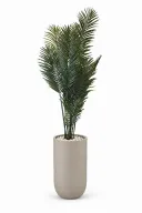 Modern Artificial Areca Plant In Luna Pot