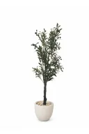 Realistic Artificial Olive Tree In Curve Pot