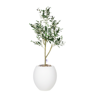 Artificial Olive Tree with Paula Pot