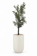 Olive Artificial Tree In Luna Pot