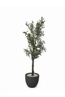 Realistic Artificial Olive Tree In Curve Pot