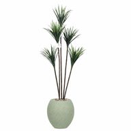 Artificial Dracaena Tree with Paula Pot