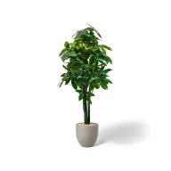 Potted Artificial Money Tree In Curve Pot