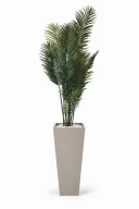 Modern Artificial Areca Planter In Obelisk Pot