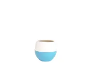 Decorative Plant Pot With Plate