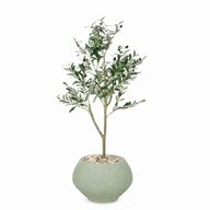 Artificial Olive Tree with Kora Planter Pot