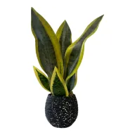 Artificial Snake Plant with Terrazzo Pot