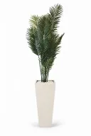 Modern Artificial Areca Planter In Obelisk Pot