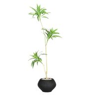 Artificial Dracaena Song of India Tree With Kora Pot