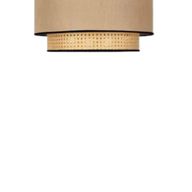 Charlie Modern Ceiling Lamp - YLM018