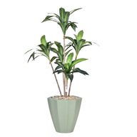 Artificial Dracaena Marginata in Terrazzo Planter
