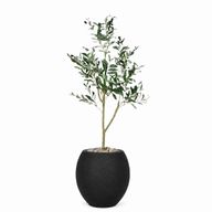 Artificial Olive Tree with Paula Pot