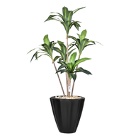 Artificial Dracaena Marginata in Terrazzo Planter