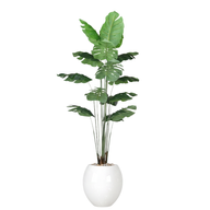 Artificial Monstera Tree with Paula Pot