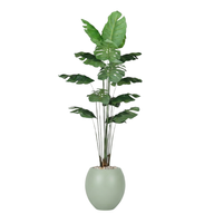 Artificial Monstera Tree with Paula Pot