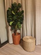 Hapi Pot - Concrete Modern Minimalist Design