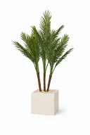 Artificial Phoenix Trio In Cube Pot