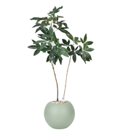 Artificial Money Tree in Bello Planter