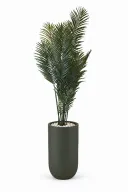 Modern Artificial Areca Plant In Luna Pot