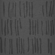 ورق حائط بارك