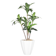 Artificial Dracaena Marginata in Terrazzo Planter