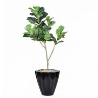 Artificial Maple Tree with Paula Pot