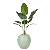 Artificial Bird of Paradise Tree With a Pula Pot