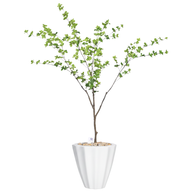 Artificial Maple Tree in Terrazzo Pot