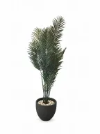 Potted Artificial Areca In Curve Pot
