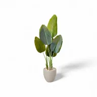 Lush Artificial Augusta Plant with Curve Pot