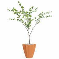 Artificial Maple Tree in Terrazzo Pot