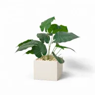 Artificial Queen Lily In Cube Pot