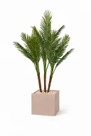 Artificial Phoenix Trio In Cube Pot