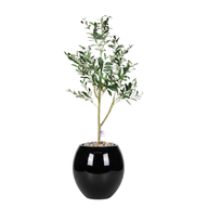 Artificial Olive Tree with Paula Pot