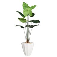 Artificial Taro Tree in Terrazzo Pot