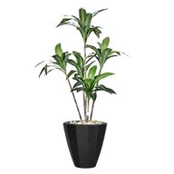 Artificial Dracaena Marginata in Terrazzo Planter