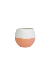 Decorative Plant Pot With Plate