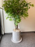 Hapi Pot - Concrete Modern Minimalist Design