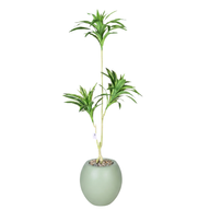 Artificial Dracaena Song of India Tree
