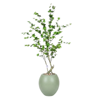 Artificial Maple Tree with Paula Pot