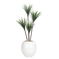 Artificial Dracaena Tree with Paula Pot