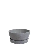 أصيص نبات ديكوري مزود بطبق